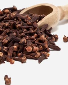 Clove Seeds