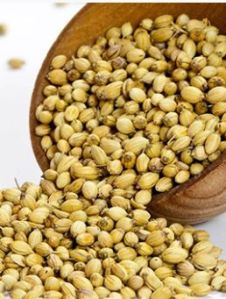 coriander seeds