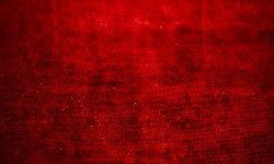 Chennile Laminated Fabric