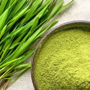 Blended Natural Wheat Grass Powder, Color : Green