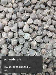 Natural Raw Moringa Seed, Form : Leaf, Purity : 100/ for Food Medicine