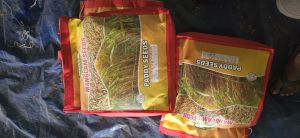 Natural Paddy Seeds, Grade Standard : Medicine Grade