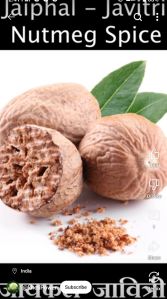 Dried Nutmeg, Color : Brown, Form : Whole