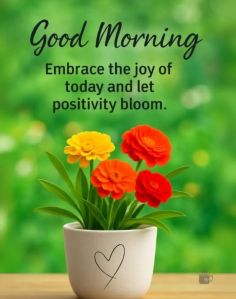 Earth Moving Soil Compactor