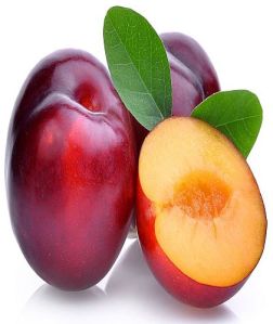 A Grade Fresh Plum, Color : Red for Direct Consumption, Jams