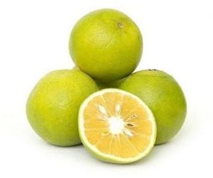 A Grade Fresh Sweet Lemon