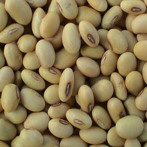 Soya Bean Dal