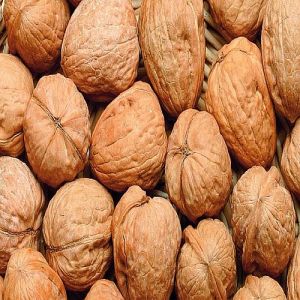 Whole Dry Walnuts