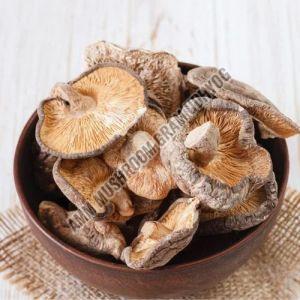 Organic Dry King Oyster Mushroom for Medicinal