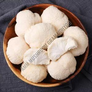Organic Fresh White Mushroom, Speciality : Rich In Taste, Healthy