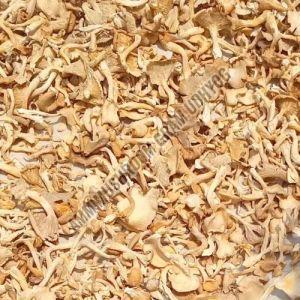 Organic Yellow Oyster Mushroom Dried for Medicinal