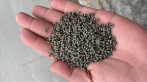 Reprocessed LDPE Granule