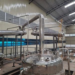 Adhatoda Vasica Extraction Plant