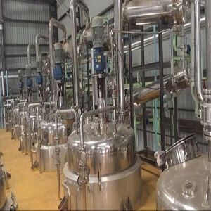 Citrus Fruit Extraction Plant