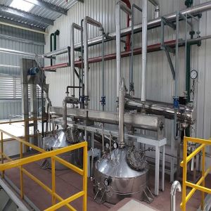 Eucalyptus Globolus Leaves Oil Distillation Plant