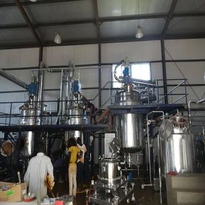 Red Cabbage Color Extraction Plant