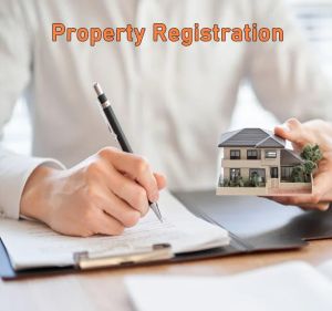 Property Registration