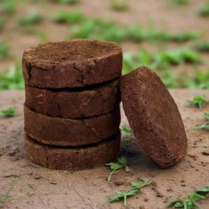 cow dung cake