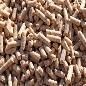 Cattle Feed Supplement, Animal Type : Cow, Packaging Size : 25 Kg