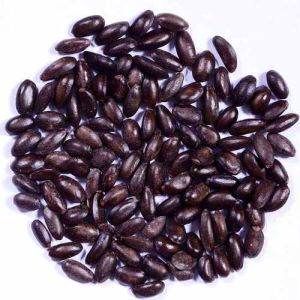 Dried Brown Custard Apple Seeds