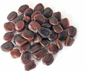 Dried Tamarind Seed, Color : Brown, Packaging Type : Plastic Bag
