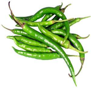 fresh green chilli