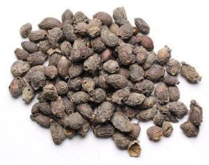 Natural Dried Jamun Seeds, Color : Dark Brown, Packaging Type : Bags