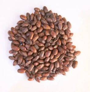 Natural Rain Tree Seeds, Color : Brown, Packaging Type : Bags