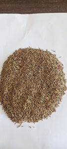 Organic Cumin Seeds, Packaging Size : 25kg, Packaging Type : Brown