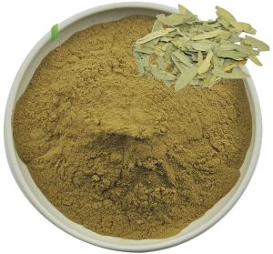 Dried Senna Leaves Powder