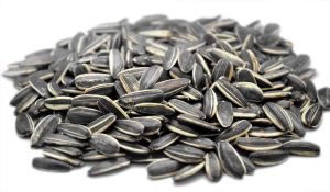 Natural Black Sunflower Seeds