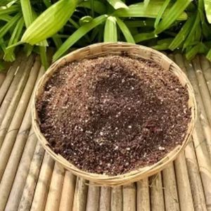 Potting Soil, Color : Dark Brown, Purity : 99%