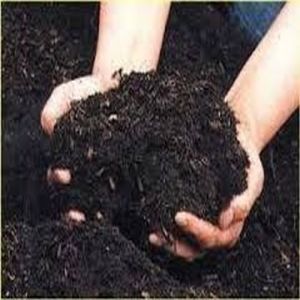 Organic Vermicompost Fertilizer, Standard : Bio Grade, Purity : 100%