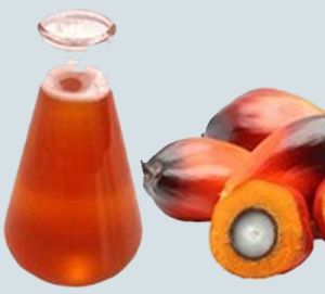 crude palm oil