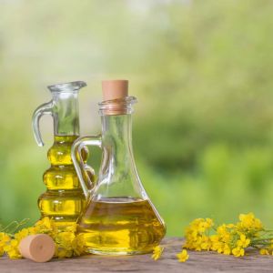 Refined Canola Oil