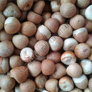 Betel Nut for Light Sweet, Packaging Type : Brown