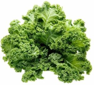 A Grade Fresh Kale