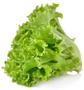 A Grade Fresh Lettuce, Packaging Type : Plastic Bag