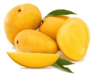A Grade Fresh Mango, Packaging Type : Carton Box