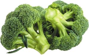Fresh Green Broccoli, Quality Available : A Grade