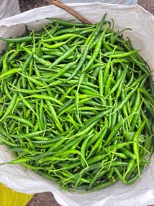 Common Green Chili, Quality Available : A Grade