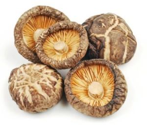 Dried Shiitake Mushroom