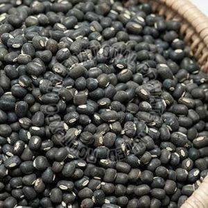 Organic Black Urad Dal, Certification : FSSAI Certified for Cooking