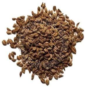 Organic Carom Seeds, Color : Brown Raw