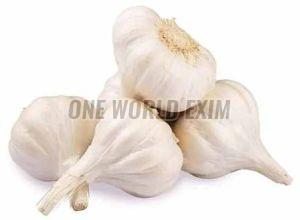 A Grade Fresh Garlic