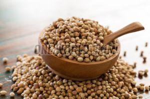 A Grade Whole Coriander Seed