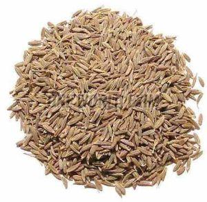 A Grade Whole Cumin Seeds