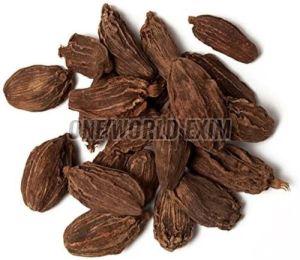 black cardamom