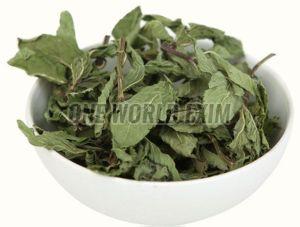 Dehydrated Mint Leaf