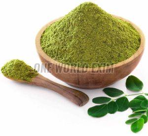 Dehydrated Moringa Powder